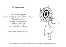 M-Die-Sonnenblume-Goethe.pdf